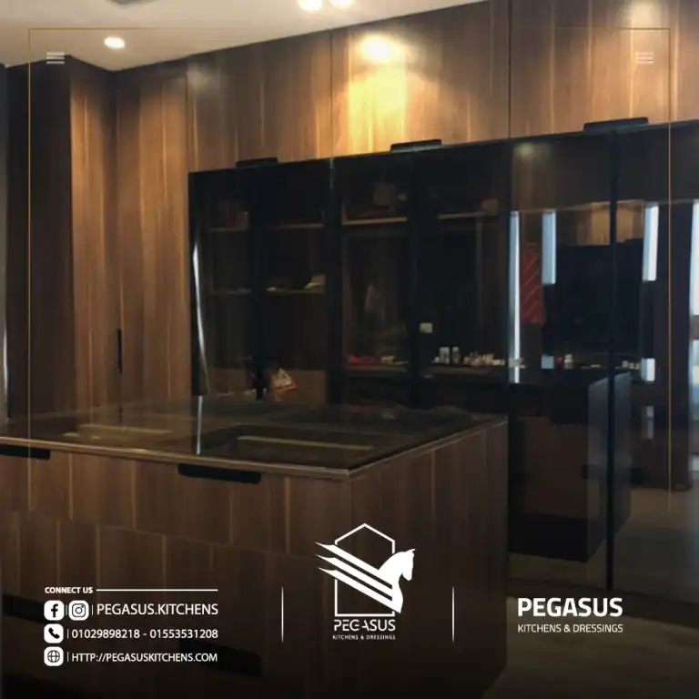 تصميم وتجهيز دريسينج من بيجاسوس